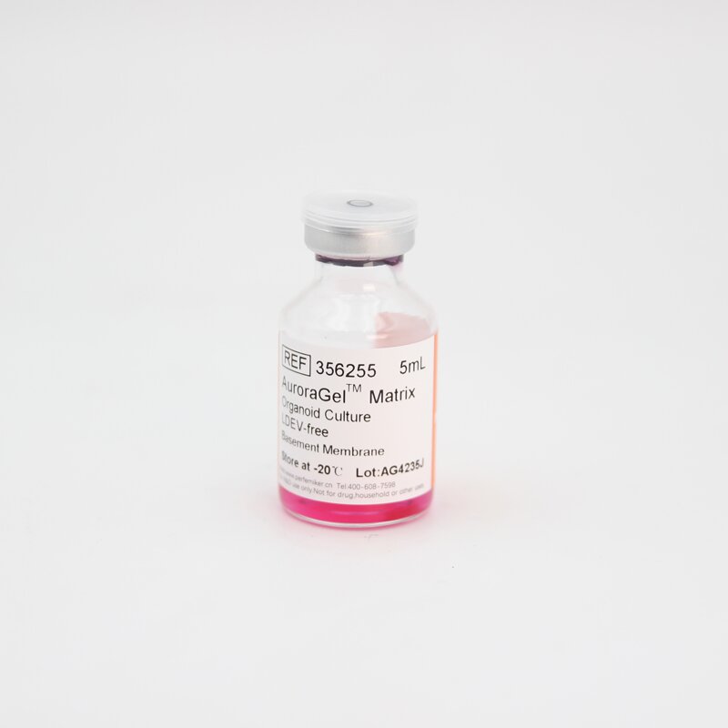 PERFEMIKER® AuroraGel™类器官基质胶，不含LDEV