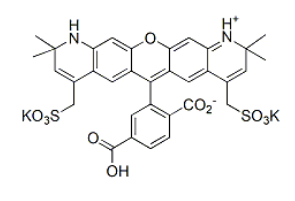 AF568羧酸