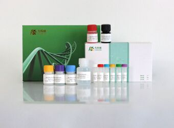 大鼠血管活性肠肽(VIP)ELISA科研试剂盒