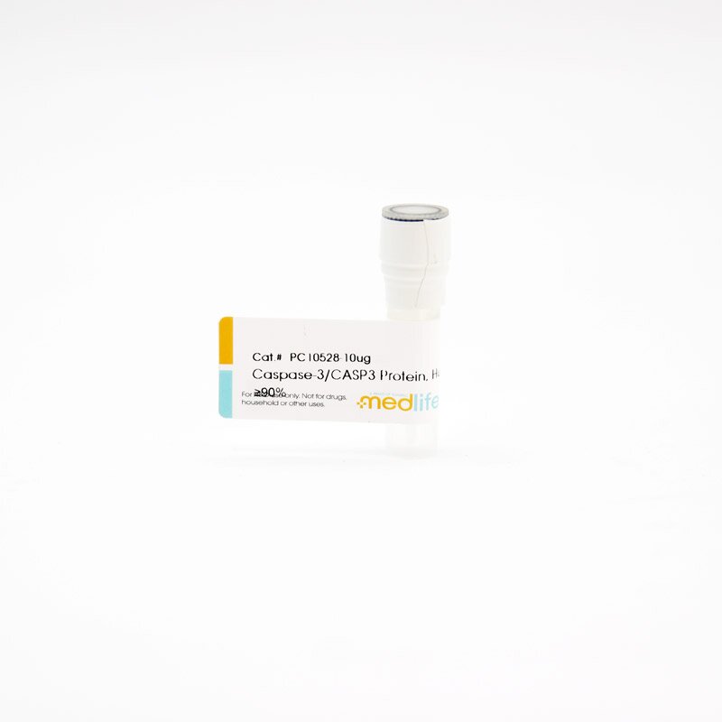 Caspase-3/CASP3 蛋白, Human