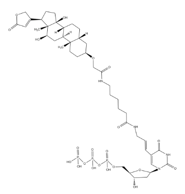 Digoxigenin-11-dUTP
