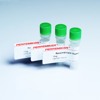 抑胃肽酶液（Pepstain,1mg/ml）